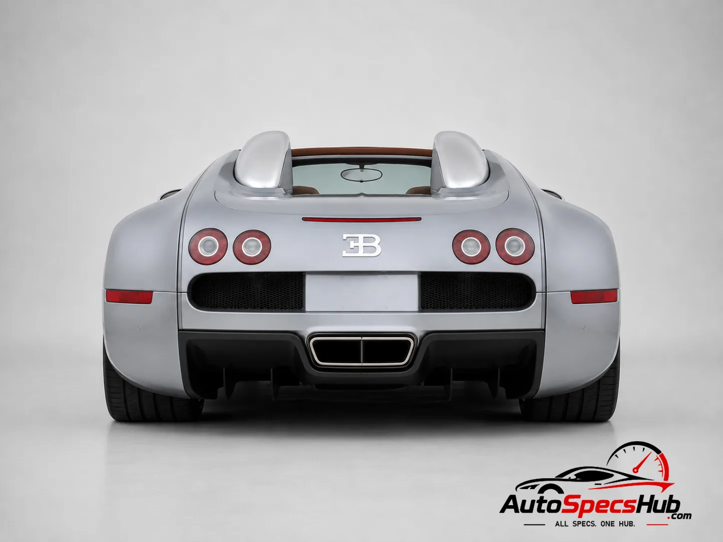 2009 Bugatti Veyron Grand Sport rear view