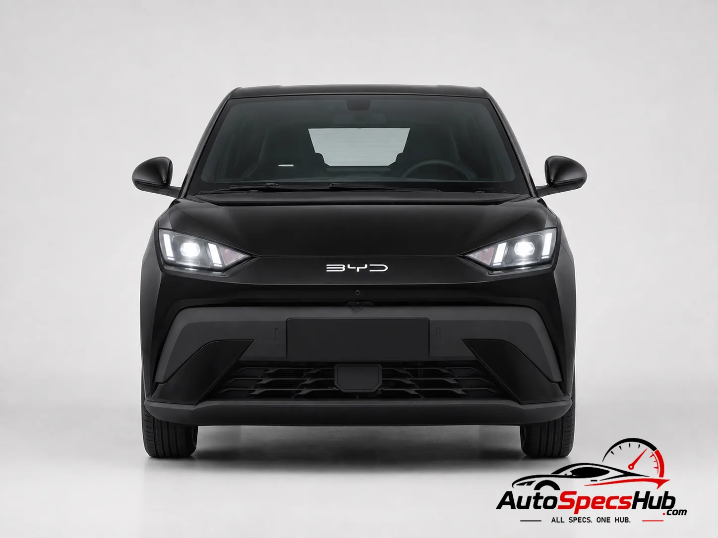 2025 BYD Dolphin Surf Boost front view